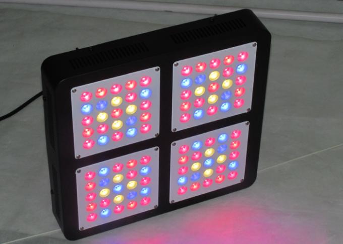 300w menés élèvent des lumières