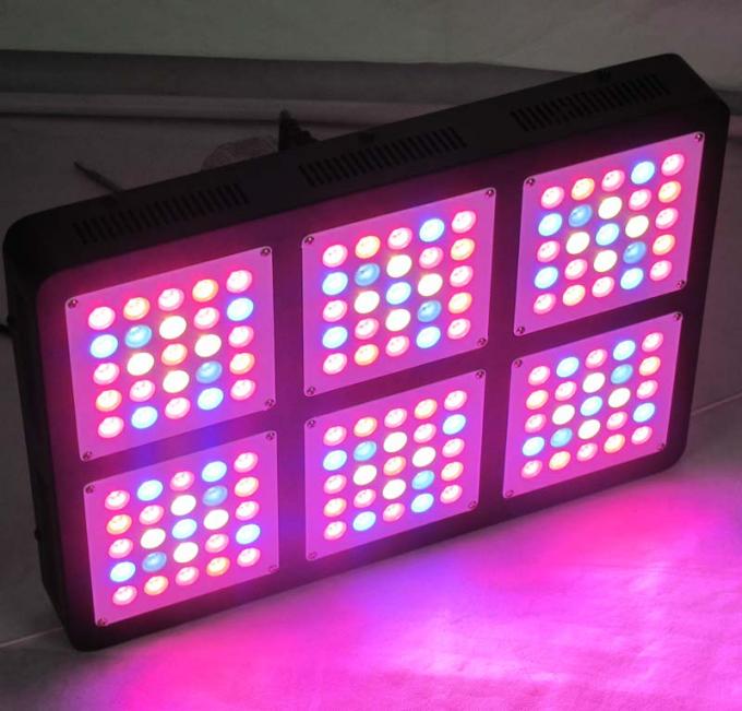 750w menés élèvent la lumière
