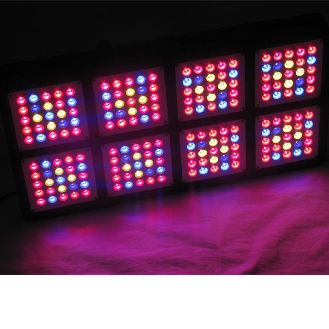 600w menés élèvent des lumières