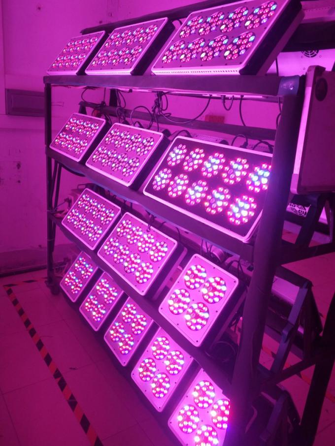 le cultivateur de forêt mené élèvent la lumière