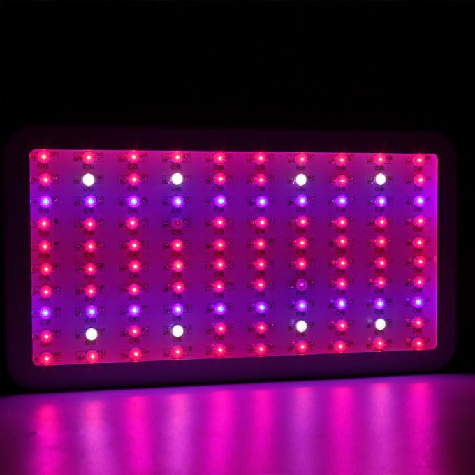 300w menés élèvent la lumière